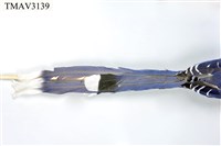 臺灣藍鵲藏品圖，第17張